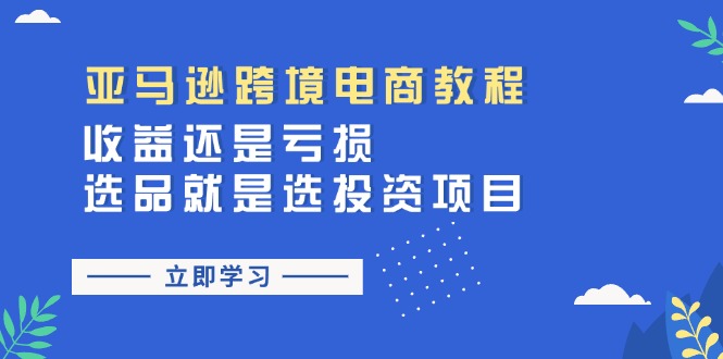 (11432期)亚马逊跨境电商教程:收益还是亏损!选品就是选投资项目-优优云网创