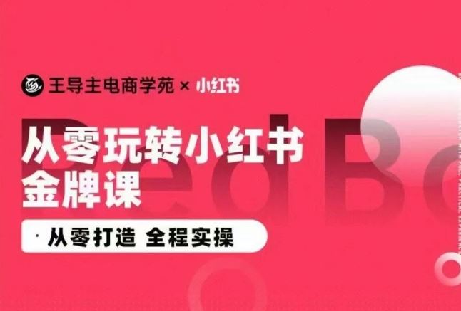 王导主·小红书电商运营实操课,从零打造 全程实操-优优云网创