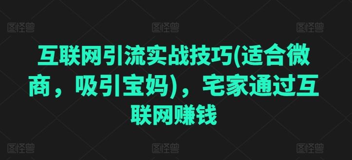 互联网引流实战技巧(适合微商,吸引宝妈),宅家通过互联网赚钱-优优云网创