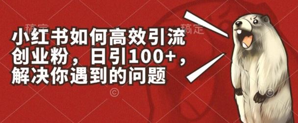 小红书如何高效引流创业粉,日引100+,解决你遇到的问题【揭秘】-优优云网创