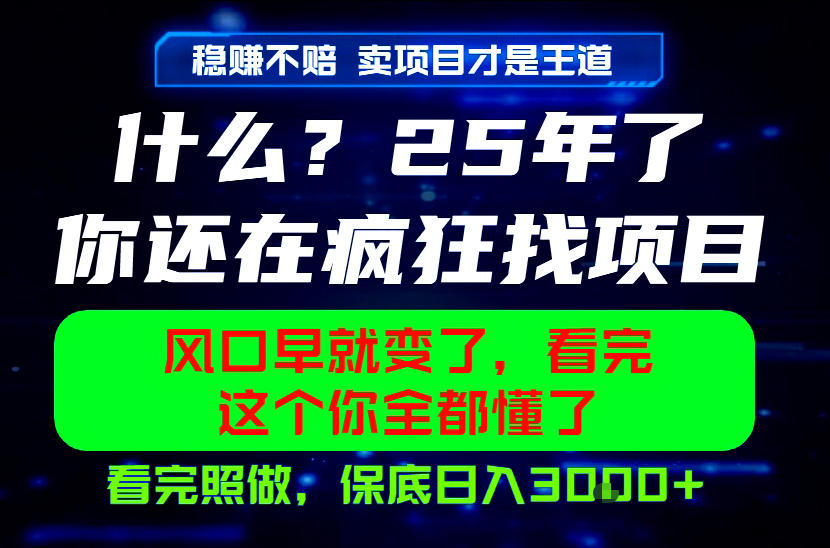 26年，请不要疯狂的找项目做了！卖项目才是真的稳賺不赔，看完照做，保底日入1k+【揭秘】-优优云网创