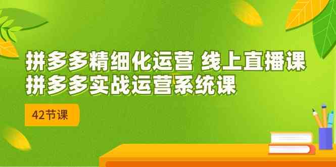 拼多多精细化运营 线上直播课:拼多多实战运营系统课(更新47节)-优优云网创