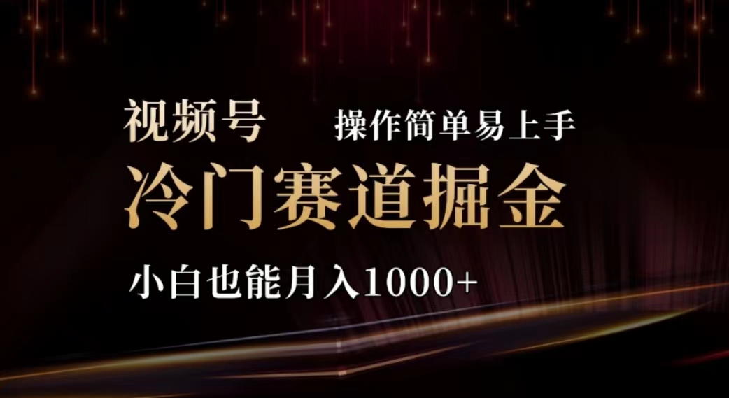 (11378期)2024视频号冷门赛道掘金,操作简单轻松上手,小白也能月入1000+-优优云网创