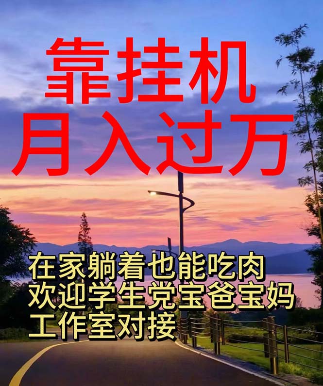 (10838期)靠挂机,日入1000+,躺着也能吃肉,适合宝爸宝妈学生党工作室,电脑手…-优优云网创