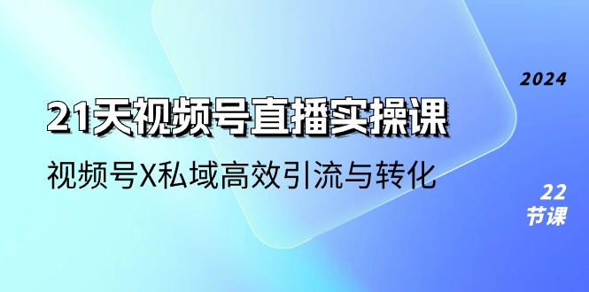 (10966期)21天-视频号直播实操课,视频号X私域高效引流与转化(22节课)-优优云网创