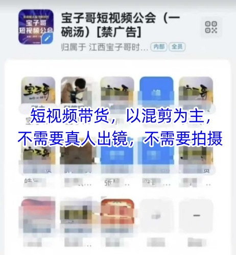 宝子哥头部团队短视频带货,以混剪为主,不需要真人出镜,不需要拍摄【更新12月】-优优云网创