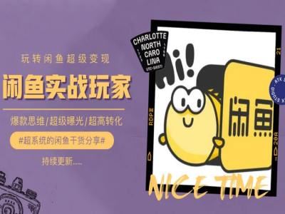 手把手教你0到1系统玩转闲鱼变现,爆款思维/超级曝光/超高转化-优优云网创