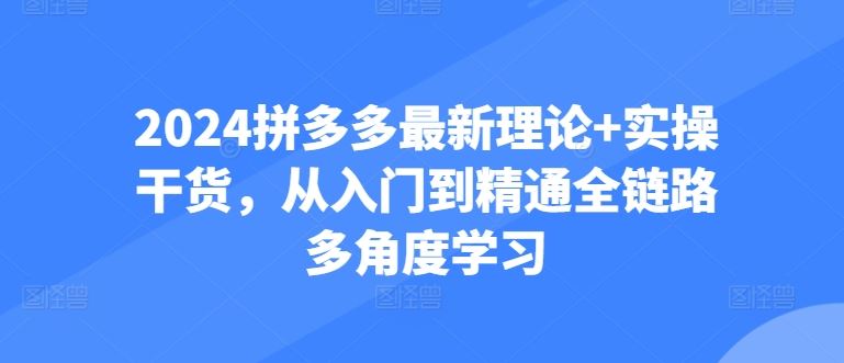 2024拼多多最新理论+实操干货,从入门到精通全链路多角度学习-优优云网创