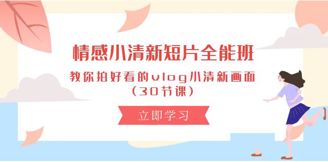 (10567期)情感 小清新短片-全能班,教你拍好看的vlog小清新画面 (30节课)-优优云网创