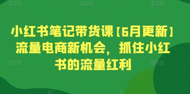 小红书笔记带货课【6月更新】流量电商新机会,抓住小红书的流量红利-优优云网创