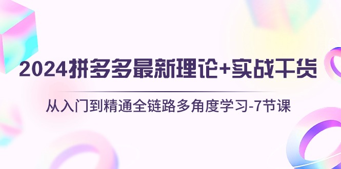 (10816期)2024拼多多 最新理论+实战干货,从入门到精通全链路多角度学习-7节课-优优云网创