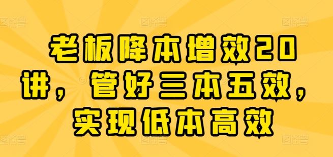 老板降本增效20讲,管好三本五效,实现低本高效
