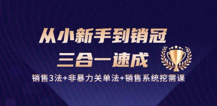 从小新手到销冠 三合一速成:销售3法+非暴力关单法+销售系统挖需课 (27节)-优优云网创