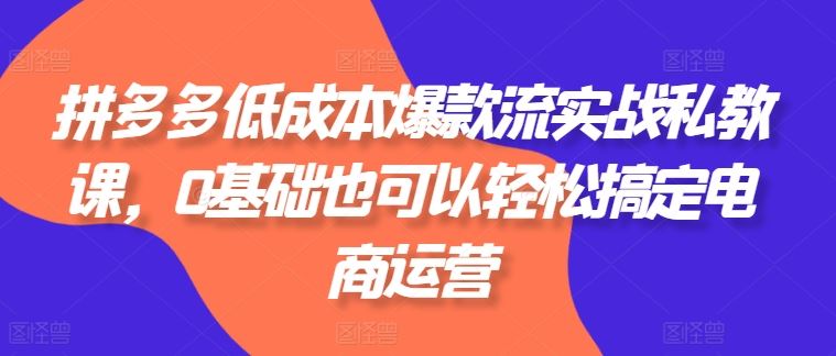 拼多多低成本爆款流实战私教课,0基础也可以轻松搞定电商运营-优优云网创