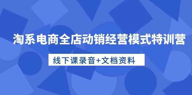淘系电商全店动销经营模式特训营，线下课录音+文档资料-优优云网创