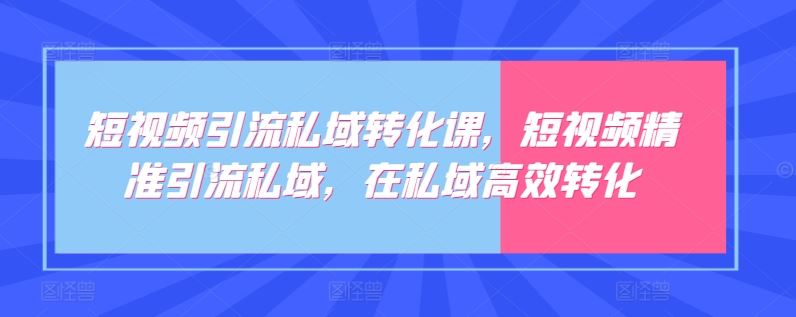 短视频引流私域转化课,短视频精准引流私域,在私域高效转化-优优云网创