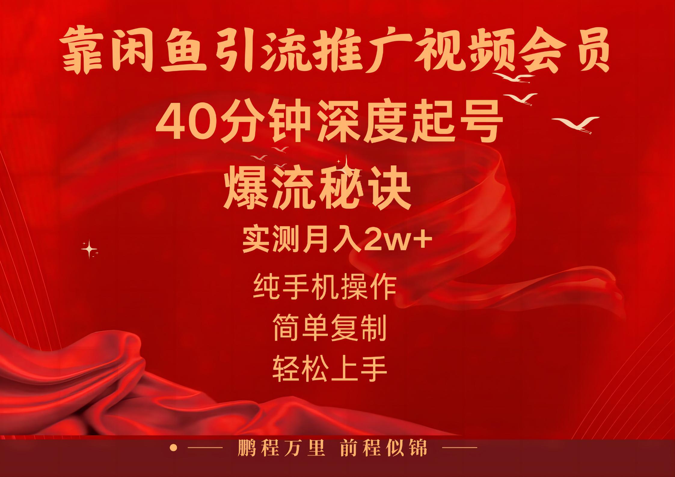 (10896期)闲鱼暴力引流推广视频会员,能做到日入2W+,操作简单-优优云网创