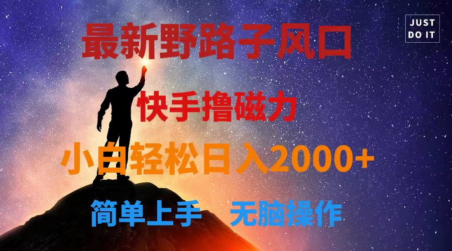 (10754期)最新风口!快手撸磁力,野路子,小白无脑操作日入2000+-优优云网创