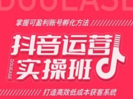 抖音运营实操班,掌握可盈利账号孵化方法,打造高效低成本获客系统-优优云网创