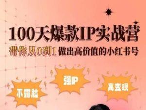 小红书100天爆款IP实战营,带你从0到1做出高价值的小红书号-优优云网创
