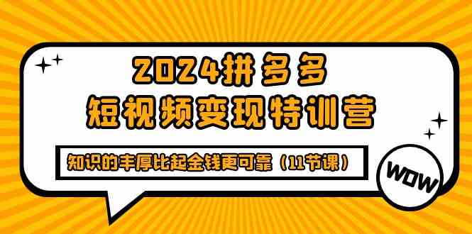 (9817期)2024拼多多短视频变现特训营,知识的丰厚比起金钱更可靠(11节课)-优优云网创