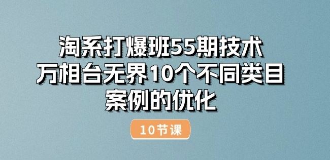 淘系打爆班55期技术:万相台无界10个不同类目案例的优化(10节)-优优云网创
