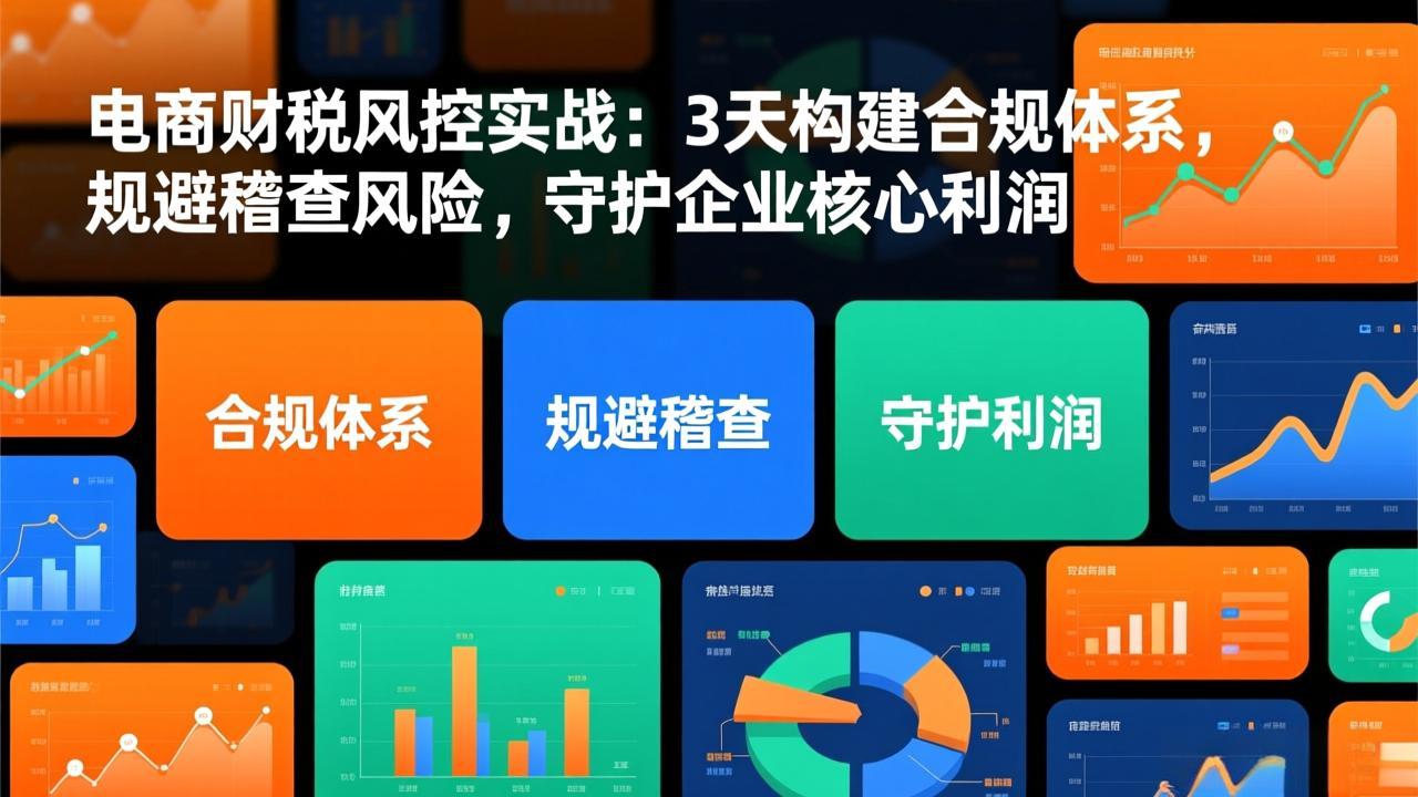 电商财税风控实战:3天构建合规体系,规避稽查风险,守护企业核心利润-优优云网创