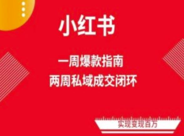 爆款小红书免费流量体系课程(两周变现),小红书电商教程