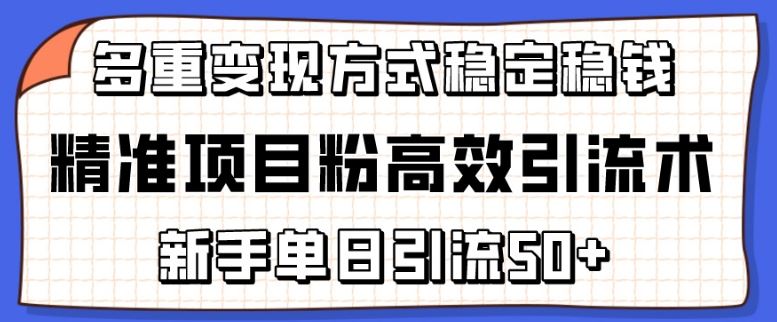 精准项目粉高效引流术,新手单日引流50+,多重变现方式稳定赚钱【揭秘】-优优云网创