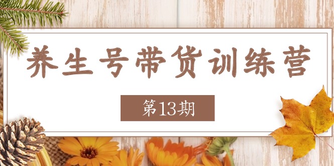 (11275期)养生号-带货训练营【第13期】收益更稳定的玩法,让你带货收益爆炸-优优云网创