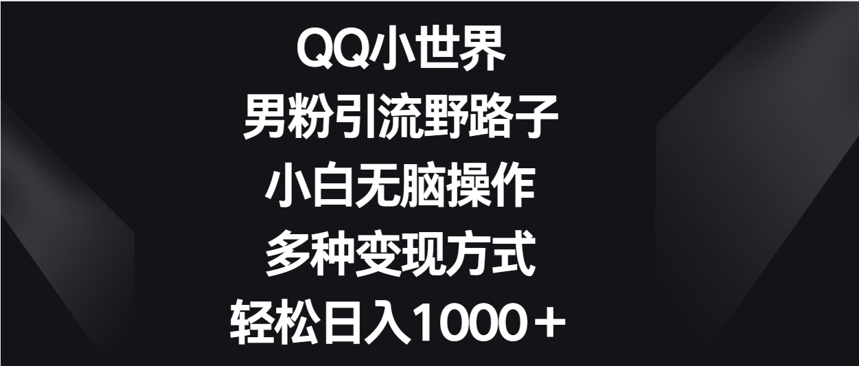 QQ小世界男粉引流野路子,小白无脑操作,多种变现方式轻松日入1000+-优优云网创