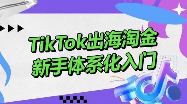 TikTok出海淘金,新手体系化入门,零基础快速入门,掌握短视频、直播带货等引流到变现的知识-优优云网创