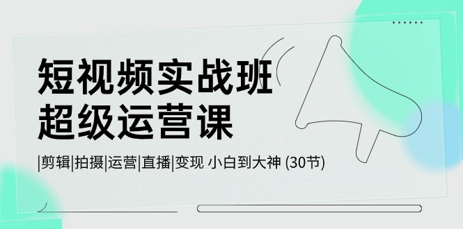 (10836期)短视频实战班-超级运营课,|剪辑|拍摄|运营|直播|变现 小白到大神 (30节)-优优云网创