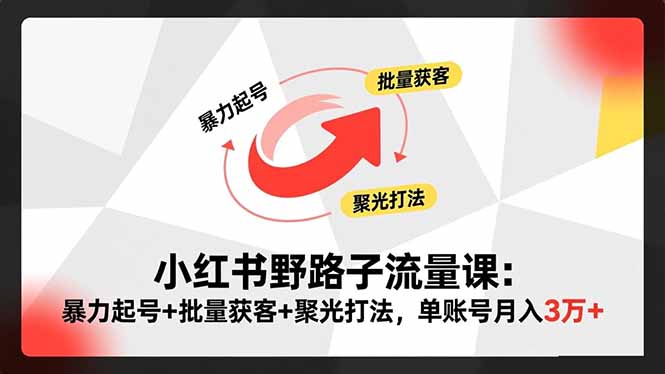小红书野路子流量课:暴力起号+批量获客+聚光打法,单账号月入3万+-优优云网创