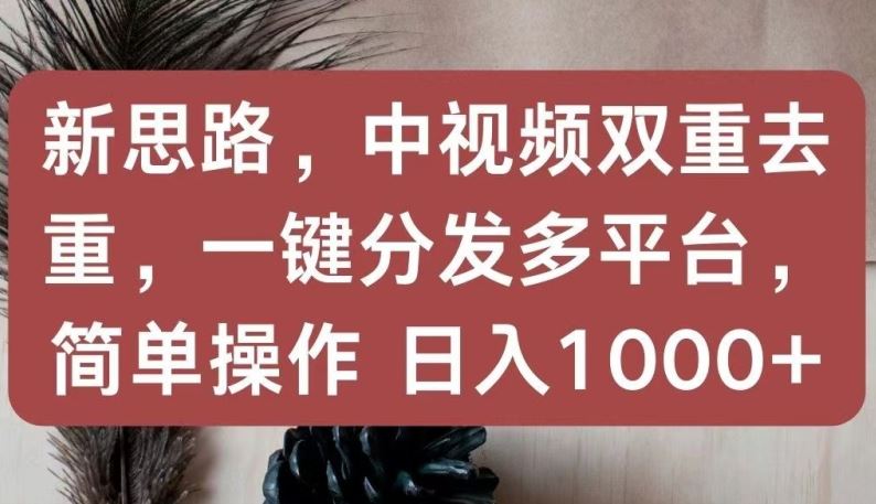 新思路,中视频双重去重,一键分发多平台,简单操作,日入1000+【揭秘】-优优云网创