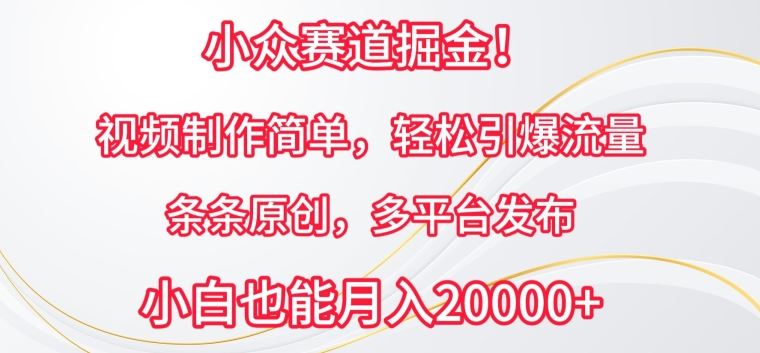 小众赛道掘金,视频制作简单,轻松引爆流量,条条原创,多平台发布【揭秘】-优优云网创