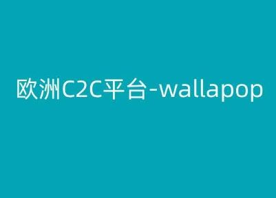 欧洲C2C平台-wallapop-kim跨境电商教程-优优云网创