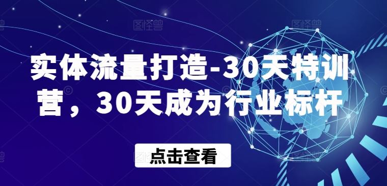 实体流量打造-30天特训营,30天成为行业标杆-优优云网创