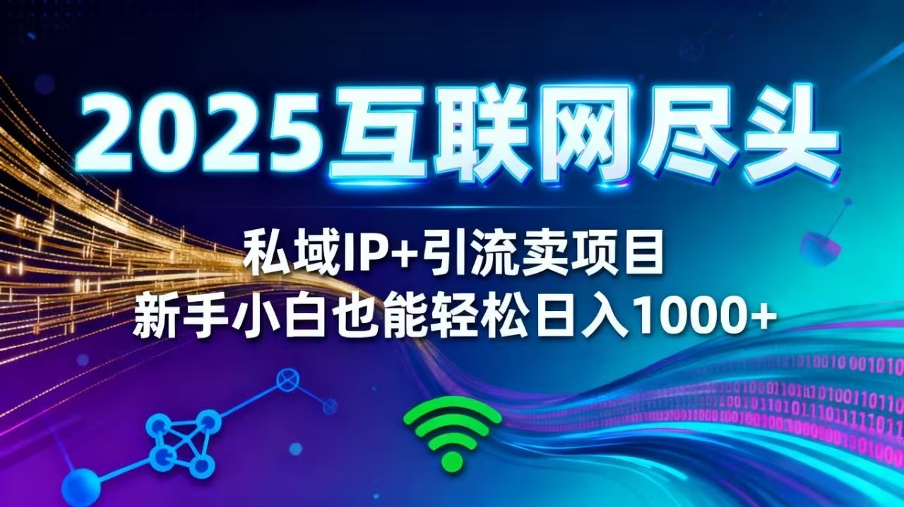 2025网创尽头王炸项目!私域 IP + 精准引流,新手小白在家躺赚日入 1000+-优优云网创
