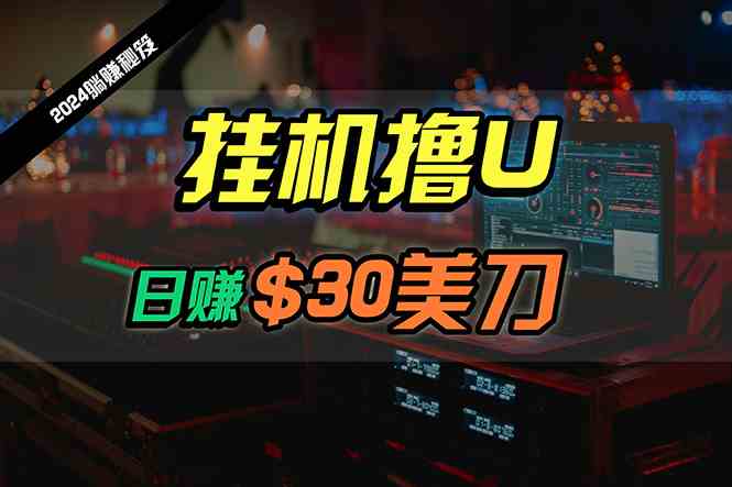 (10013期)日赚30美刀,2024最新海外挂机撸U内部项目,全程无人值守,可批量放大-优优云网创