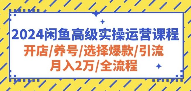 2024闲鱼高级实操运营课程：开店/养号/选择爆款/引流/月入2万/全流程-优优云网创