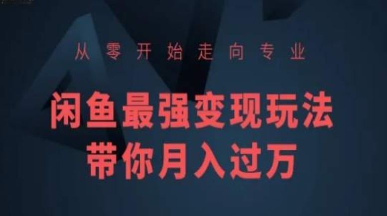 从零开始走向专业,闲鱼最强变现玩法带你月入过万-优优云网创
