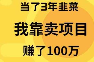 (10149期)当了3年韭菜,我靠卖项目赚了100万-优优云网创