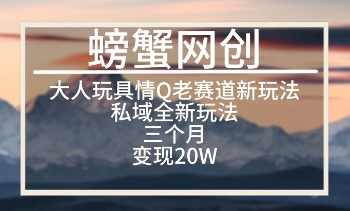 大人玩具情Q用品赛道私域全新玩法,三个月变现20W,老项目新思路【揭秘】-优优云网创