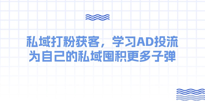 (10728期)某收费课:私域打粉获客,学习AD投流,为自己的私域囤积更多子弹-优优云网创