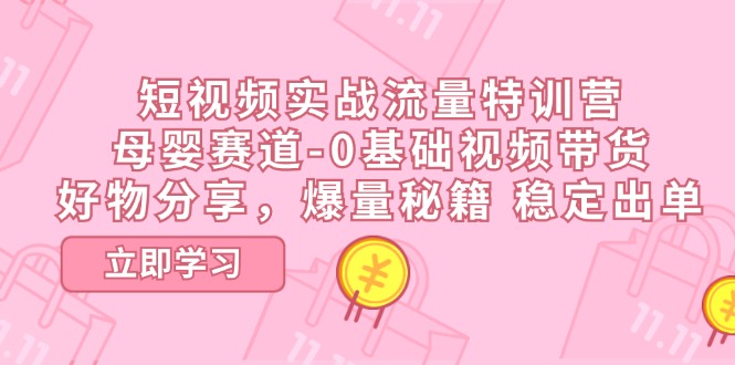 (11373期)短视频实战流量特训营,母婴赛道-0基础带货,好物分享,爆量秘籍 稳定出单-优优云网创