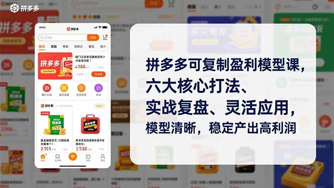 拼多多可复制盈利模型课,六大核心打法、实战复盘、灵活应用,模型清晰,稳定产出高利润-优优云网创