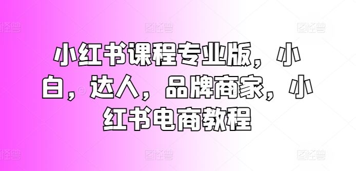 小红书课程专业版,小白,达人,品牌商家,小红书电商教程-优优云网创