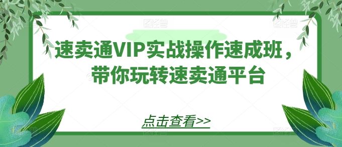 速卖通VIP实战操作速成班,带你玩转速卖通平台-优优云网创