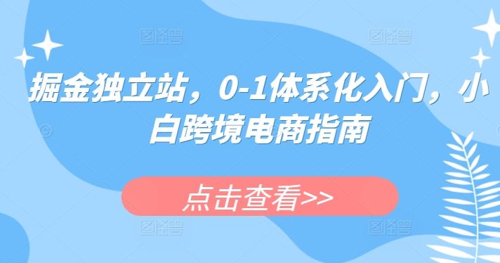 掘金独立站,0-1体系化入门,小白跨境电商指南-优优云网创